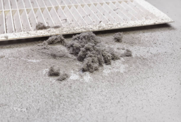 Best Affordable Air Duct Cleaning  in Meeker, OK