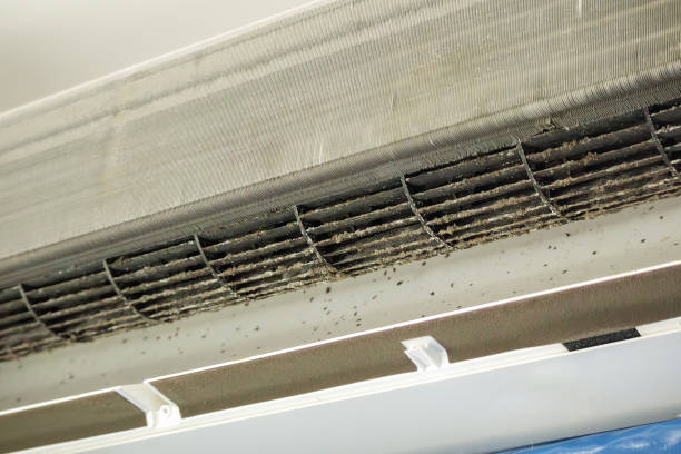Best HVAC Duct Inspection Services  in Meeker, OK